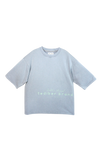 Grey Noise Boxy Tee